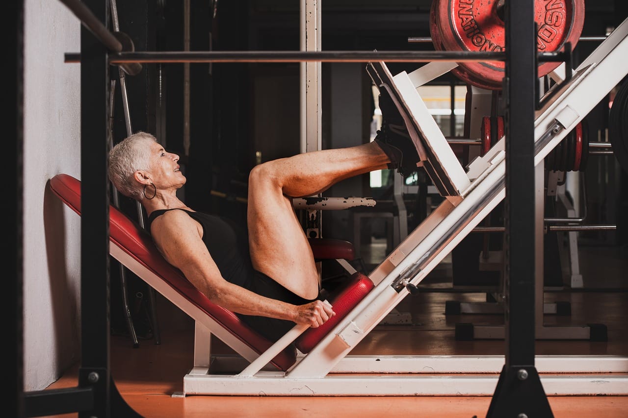 maquinas de pierna gym