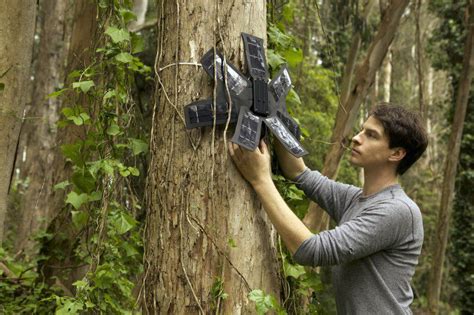 Acciones Globales Efectivas para Proteger los Ecosistemas