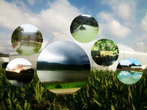 Aprovechamiento Sostenible en Zonas Áridas: Claves y Estrategias