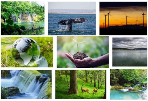 Aprovechar Sosteniblemente los Recursos Naturales: Guía Práctica