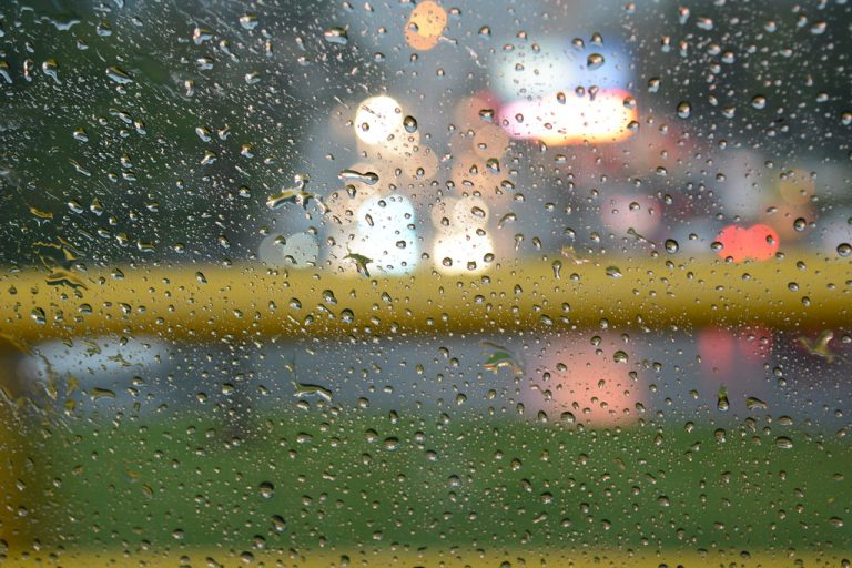 Aprovechar el agua de lluvia para huertos urbanos: Guía práctica y beneficios