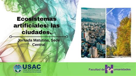 Beneficios de los ecosistemas urbanos artificiales: Impacto positivo en la ciudad