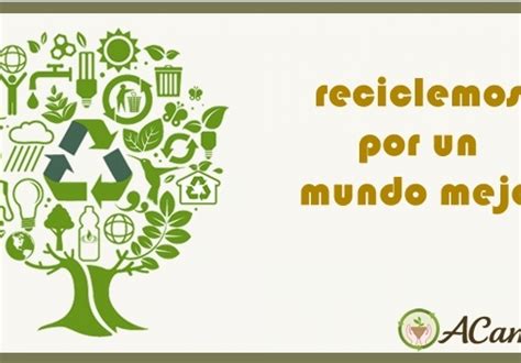 Beneficios del reciclaje de papel en ecosistemas: descubre su impacto positivo