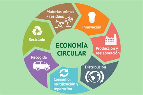 Promover la Economía Circular y Ecosistemas Sanos: Estrategias Efectivas