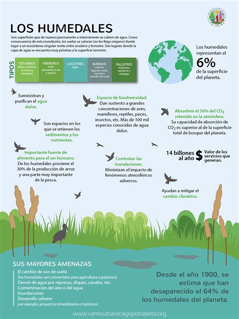 Beneficios económicos de los humedales: Impacto en el medio ambiente y la economía