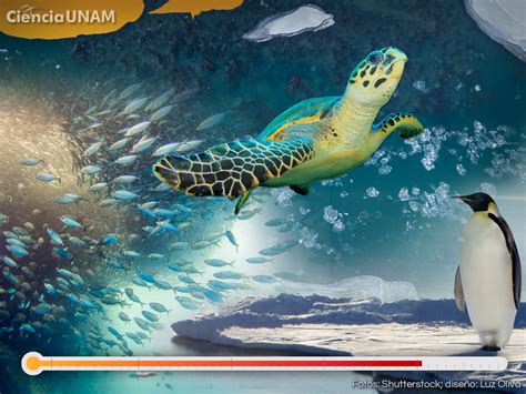 Influencia del Cambio Climático en Especies Marinas