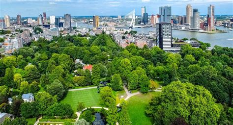 Características de los ecosistemas urbanos: Todo lo que necesitas saber