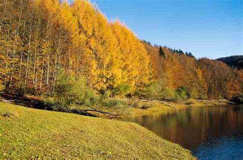 Clima templado: características en diferentes regiones del mundo