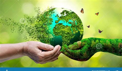 Estrategias efectivas para conservar la biodiversidad