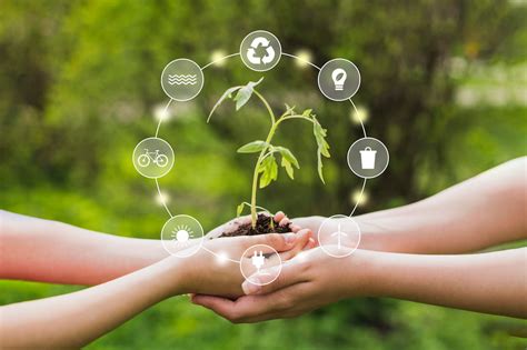 Promover la Sostenibilidad en la Vida Diaria: Estrategias Efectivas para un Futuro Sostenible