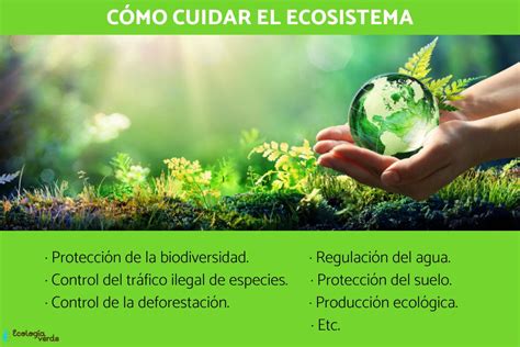 Estrategias efectivas para proteger ecosistemas en peligro