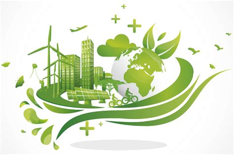 Conservación y Sostenibilidad: Acciones de Comunidades Locales para un Futuro Más Verde