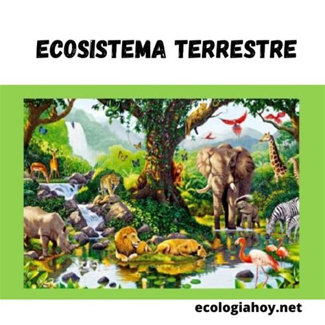 Conservar ecosistemas terrestres: Acciones necesarias para su protección