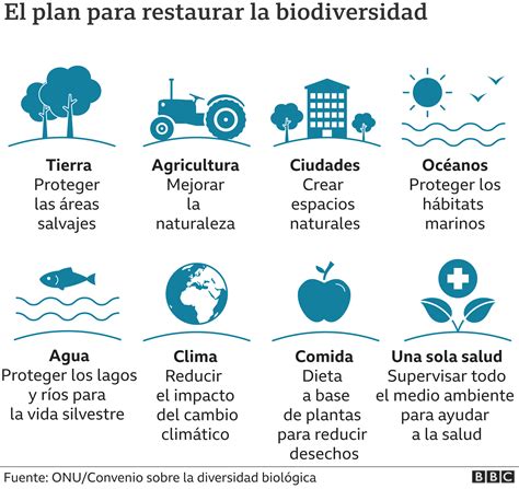 Impacto humano en ecosistemas y biodiversidad: Consecuencias y soluciones