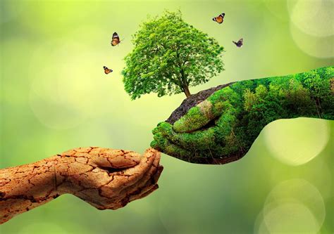 Medidas Efectivas para Conservar Ecosistemas