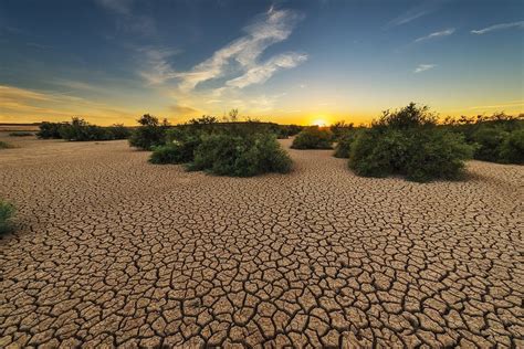 Desertificación y cambio climático: Cómo se relacionan