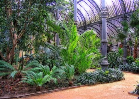 Ecosistemas artificiales: aliados del clima para un futuro sostenible