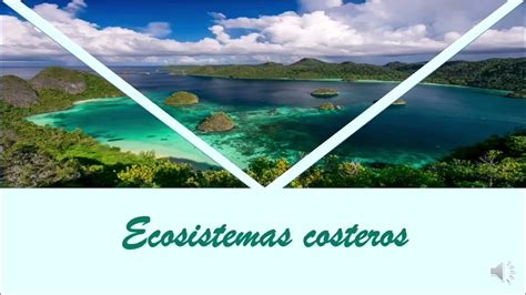 Ecosistemas costeros: Su importancia esencial frente al cambio climático
