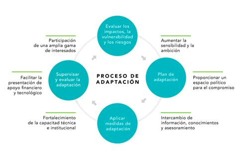 Ecosistemas y su papel clave en la adaptación al cambio climático