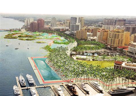 Impacto de la luz artificial en ecosistemas urbanos: Efectos y soluciones