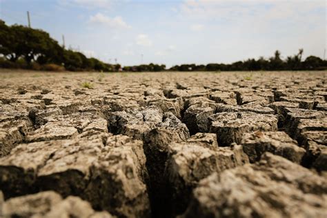 Cambio climático: Impacto en la agricultura y ecosistemas