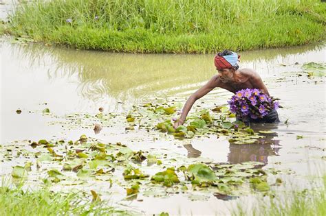 Ejemplos clave de restauración de humedales: 5 casos destacados