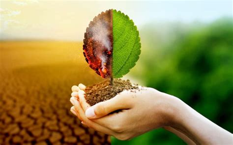 Cambio climático: Impacto en ecosistemas y estrategias de mitigación