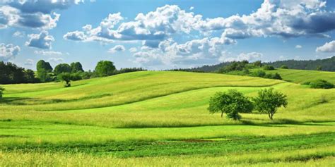 Impacto de la Actividad Humana en Ecosistemas de Praderas