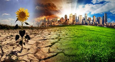 Impacto del Ser Humano en Ecosistemas y Clima: Consecuencias y Soluciones