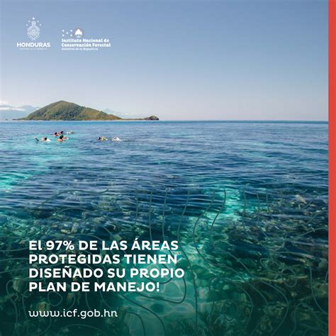 Áreas protegidas: clave para conservar ecosistemas efectivamente