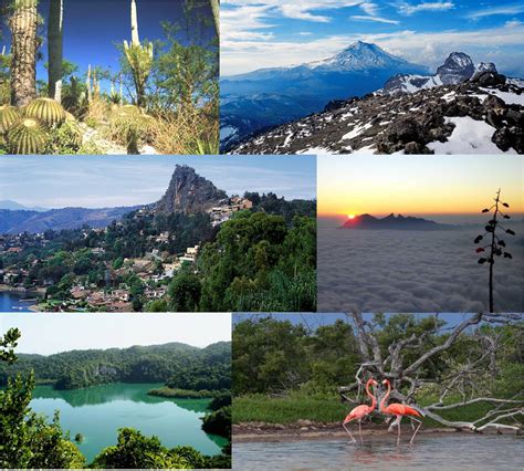 Parques nacionales: Vitales para la biodiversidad