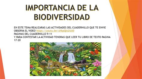 Parques Nacionales y su Importancia en la Biodiversidad