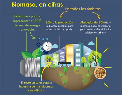 Proyecciones del Futuro Energético de la Biomasa: Claves y Oportunidades