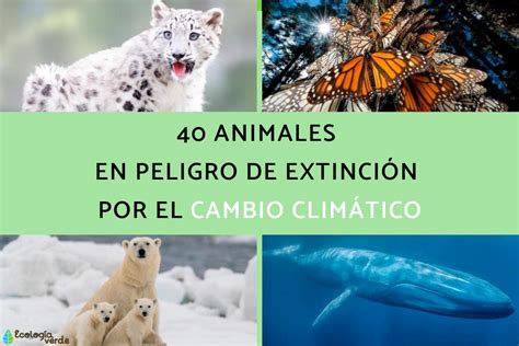 Impacto del Cambio Climático en Especies en Peligro
