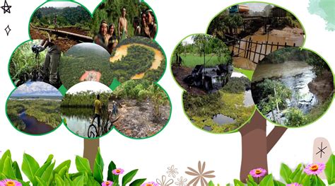 Estrategias Sostenibles para Áreas Protegidas: Claves para la Conservación ambiental