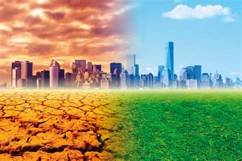 Evolución de la música ante el cambio climático: Impacto y transformaciones