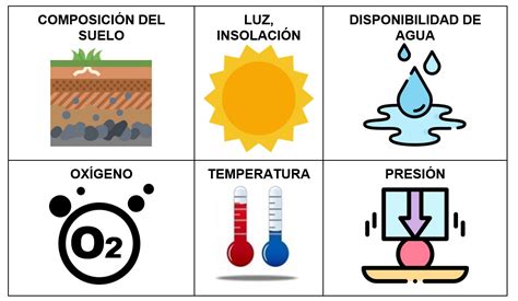 Factores que Limitan la Vida en Ecosistemas Desérticos