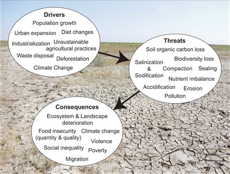 Factores que Dañan Ecosistemas por el Uso del Suelo