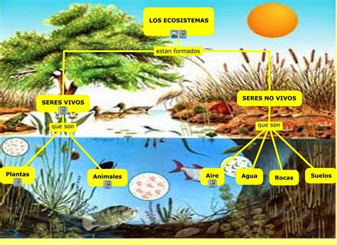Factores que Forman Ecosistemas Naturales: Claves para Comprender la Ecología