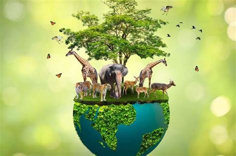 Impacto de los factores en la biodiversidad de fiordos marinos