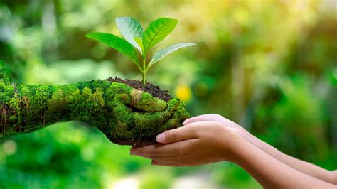 Gobiernos y su Función en la Protección Ambiental: Claves para la Sostenibilidad