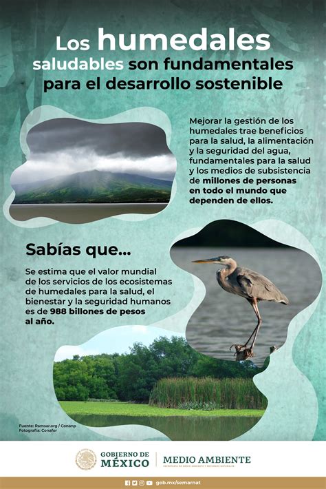 Humedales: Papel clave en la conservación del agua