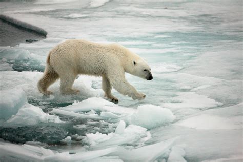 Océanos y su papel crucial en el cambio climático