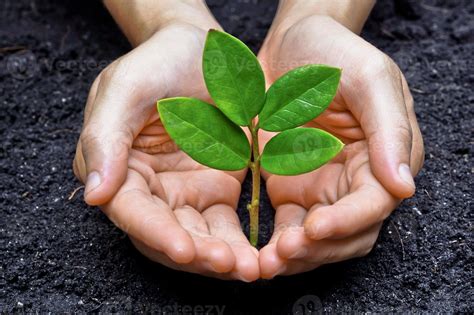 Iniciativas Globales para Conservar Ecosistemas: Estrategias Actuales