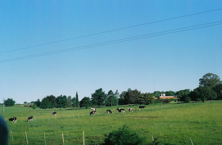 Investigación y Monitoreo de Praderas con Tecnología Innovadora