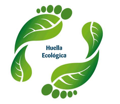 Huella ecológica: clave para conservar ecosistemas y proteger el medio ambiente