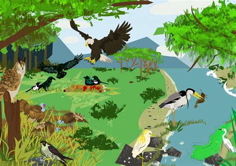 Conservar ecosistemas: clave para enfrentar el impacto ambiental