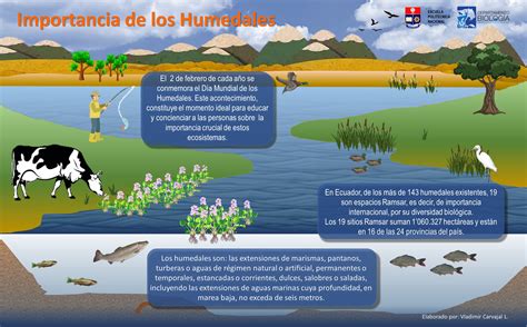 Humedales: Importancia vital para la biodiversidad acuática