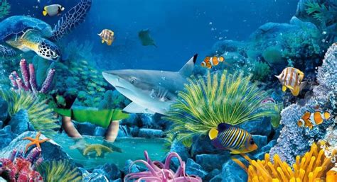 Ecosistemas acuáticos y su papel crucial en el cambio climático