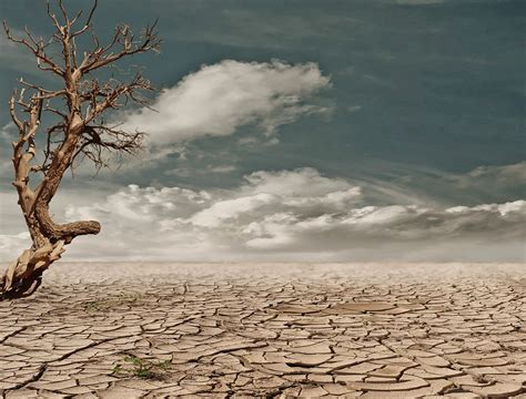 Consecuencias de la Degradación de Suelos: Impacto en el Medio Ambiente y la Agricultura